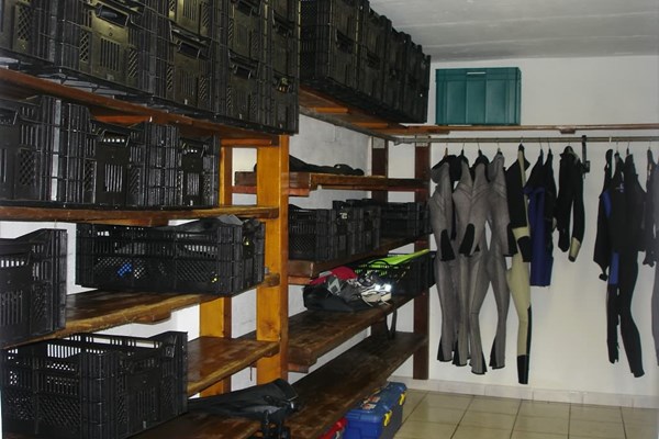 Gear