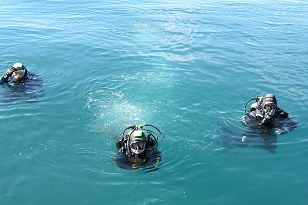 Diving course